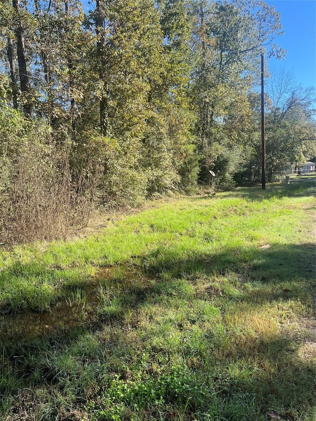 TBD Willowbend, Livingston TX, 77351 land for sale