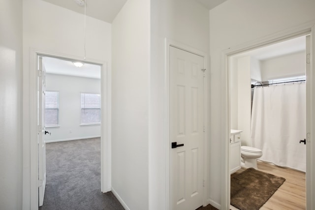 bathroom featuring hardwood / wood-style flooring, vanity, curtained shower, and toilet