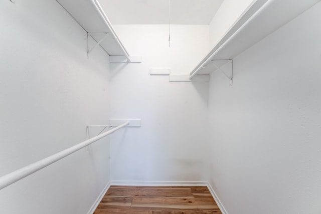 walk in closet with hardwood / wood-style flooring