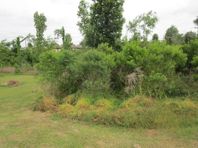 192 Maple Cv, Onalaska TX, 77360 land for sale