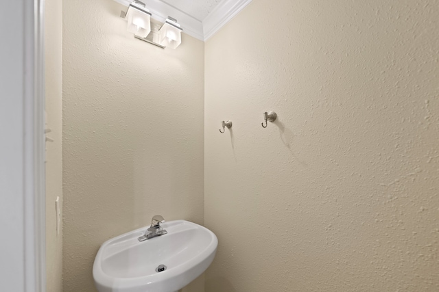 bathroom featuring sink and ornamental molding