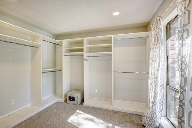 spacious closet featuring carpet