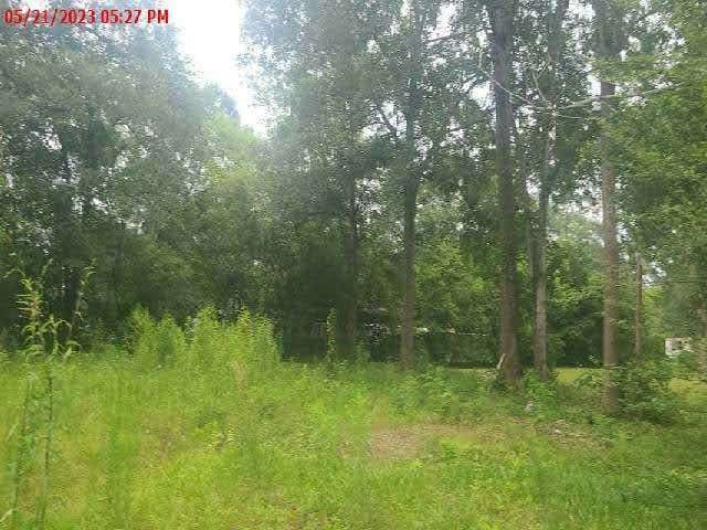 868 S Main St, Jasper TX, 75951 land for sale