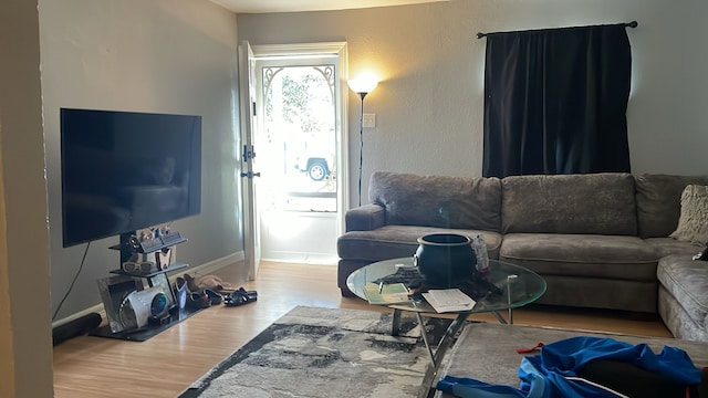 living room with hardwood / wood-style flooring