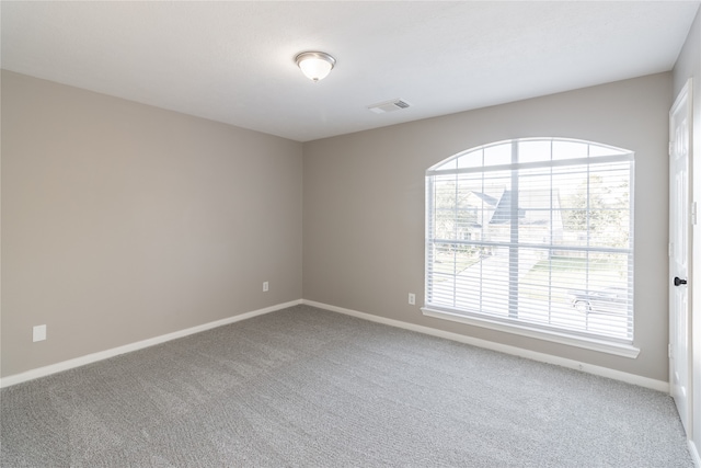 spare room with carpet and a wealth of natural light