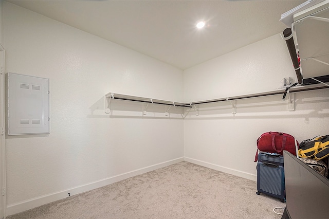 walk in closet with light carpet