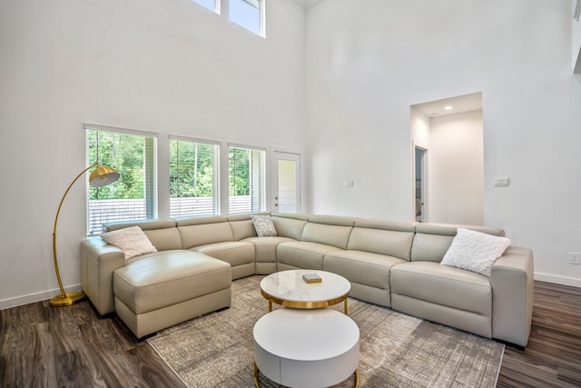 living room with hardwood / wood-style floors, a healthy amount of sunlight, and a towering ceiling