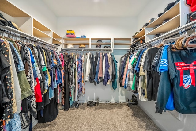 walk in closet featuring carpet flooring