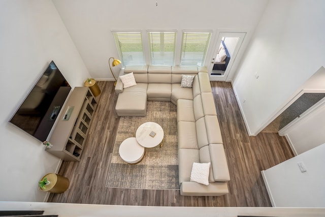 living room featuring dark hardwood / wood-style flooring