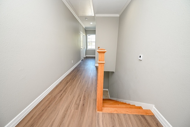 hallway featuring light hardwood / wood-style floors and crown molding