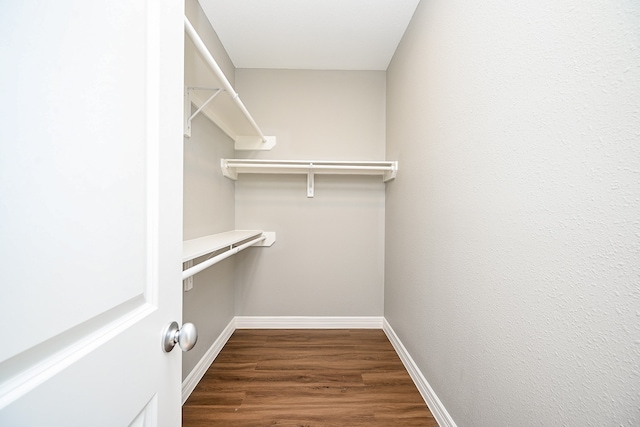 spacious closet featuring dark hardwood / wood-style floors