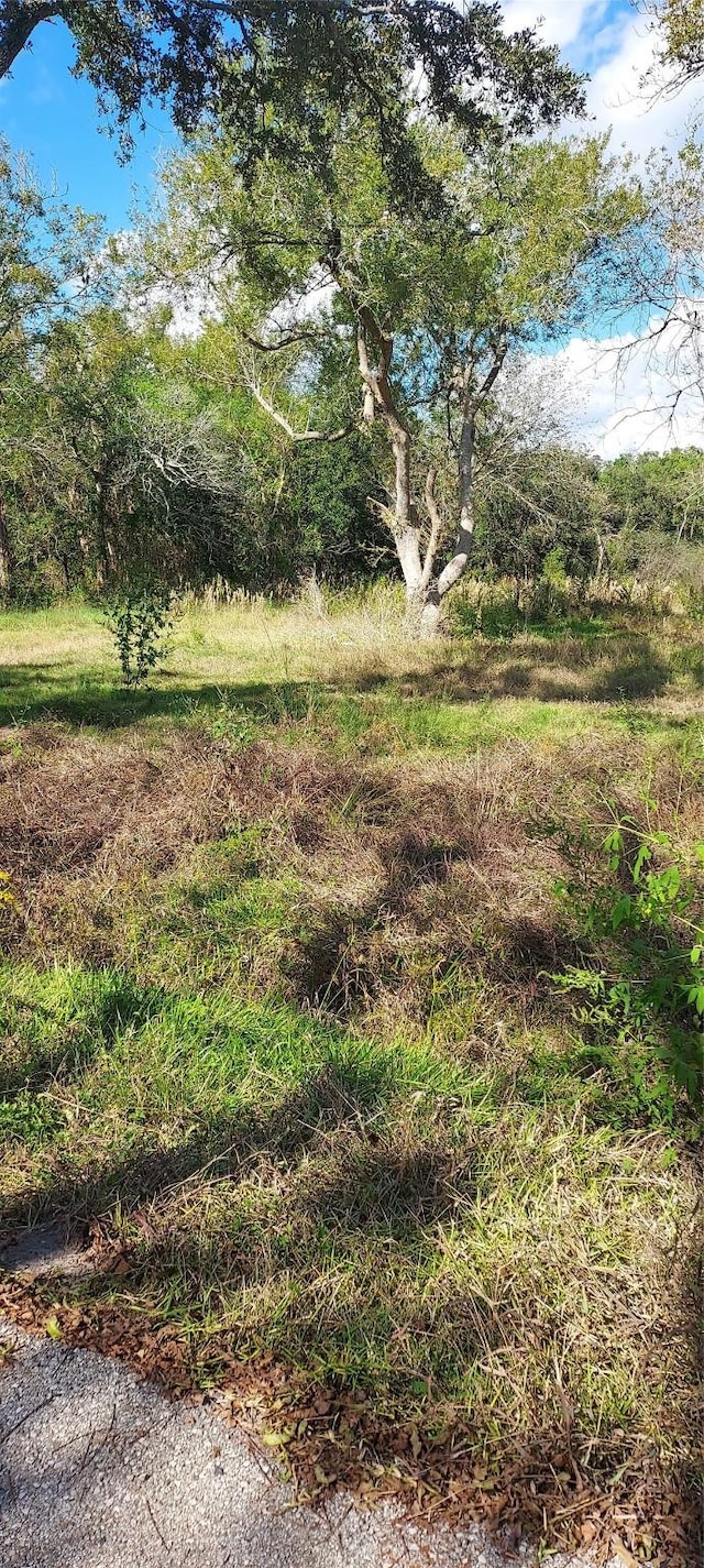 8828 Calagna Rd, Hitchcock, TX 77563 - photo 1