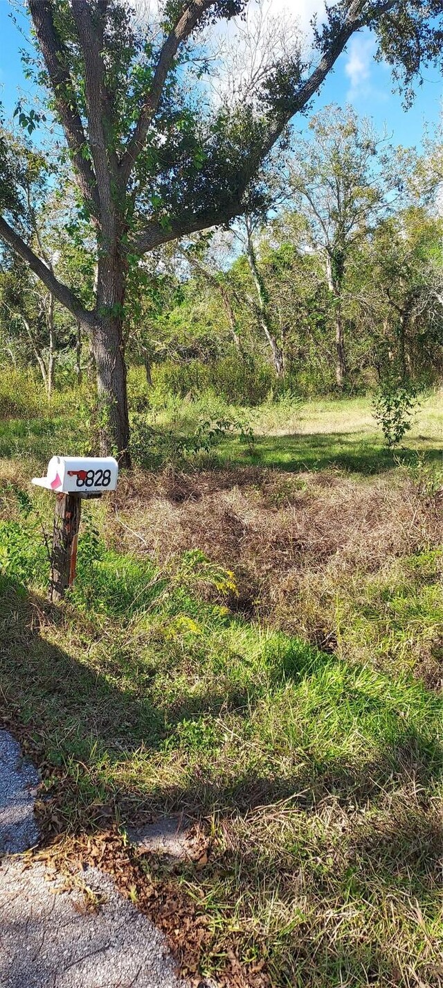 8828 Calagna Rd, Hitchcock, TX 77563 - photo 3