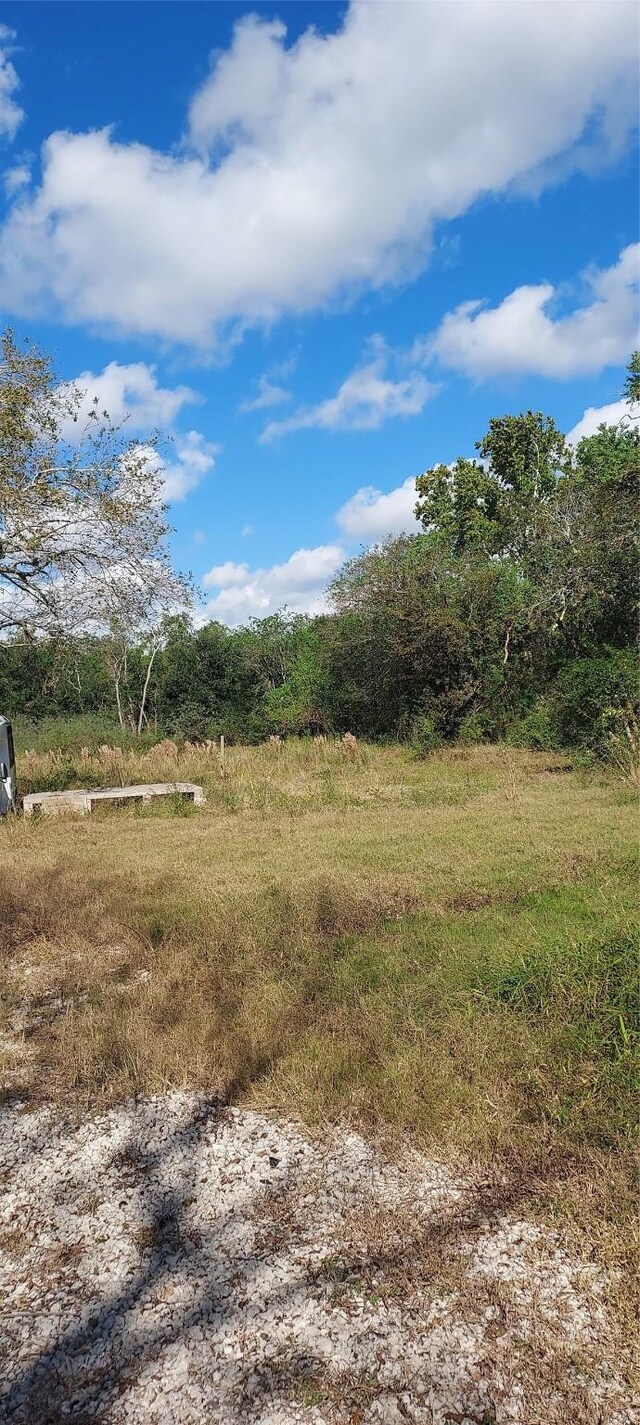 8828 Calagna Rd, Hitchcock, TX 77563 - photo 5