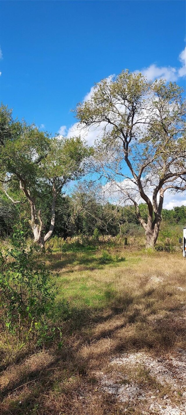8828 Calagna Rd, Hitchcock, TX 77563 - photo 6
