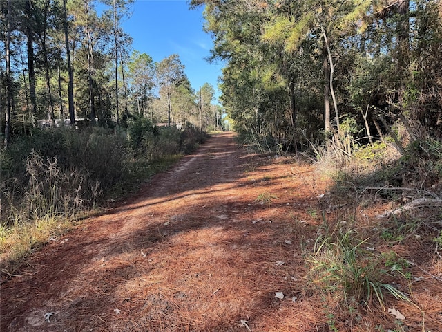 Listing photo 3 for TBD Tawnyberry Ln, Plantersville TX 77363