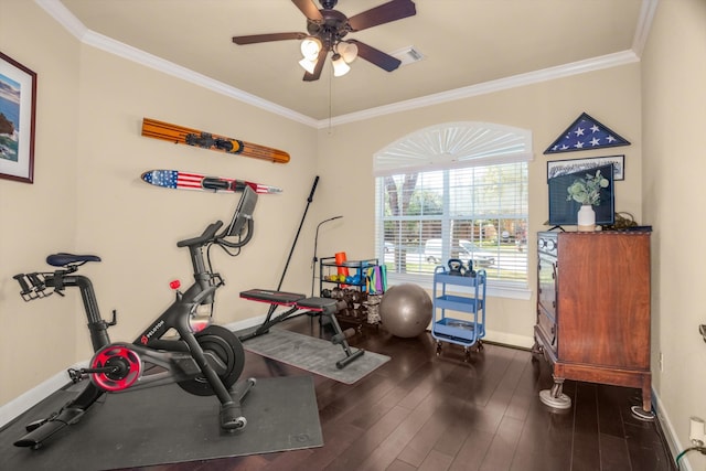 workout room with crown molding, ceiling fan, and dark hardwood / wood-style floors