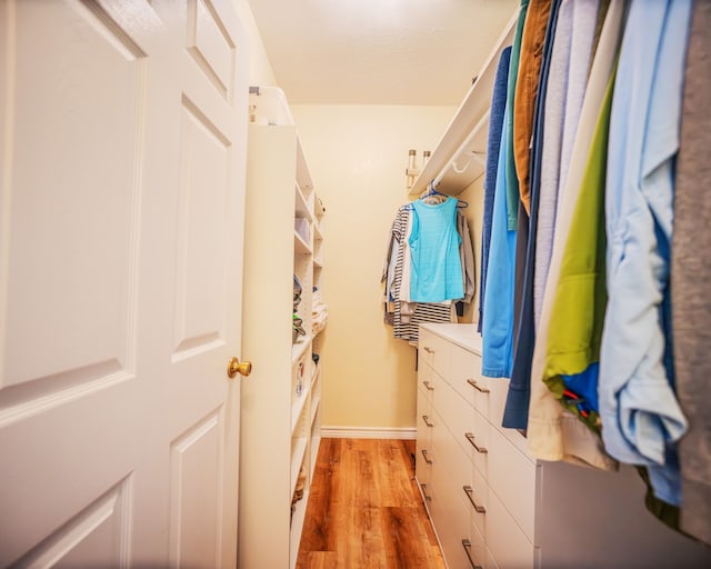 spacious closet featuring light hardwood / wood-style flooring