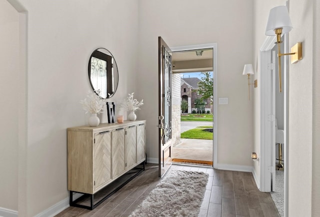 entrance foyer with dark wood-type flooring