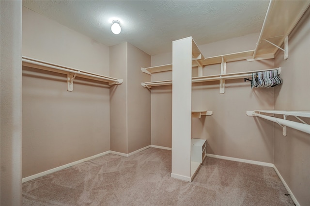 walk in closet featuring light carpet