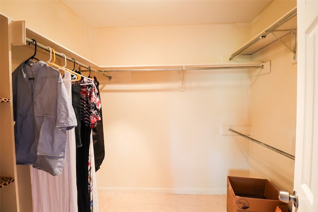 view of walk in closet