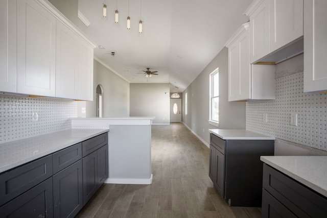 kitchen with white cabinetry, dark hardwood / wood-style floors, ceiling fan, and backsplash