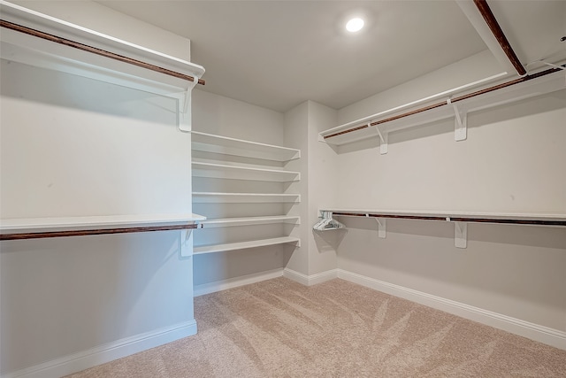 spacious closet with light carpet