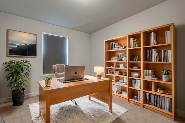 office with light carpet