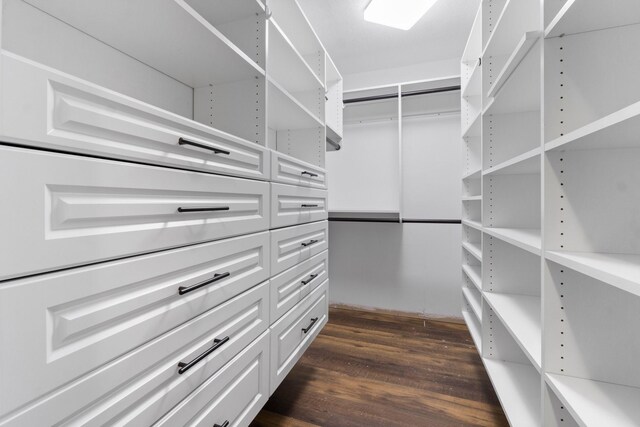 spacious closet featuring dark wood-type flooring