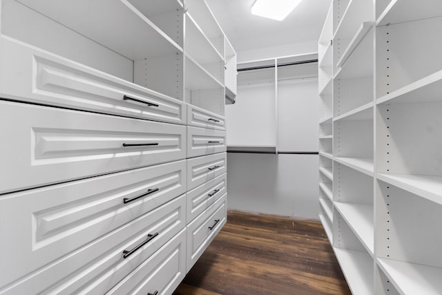 walk in closet with dark wood finished floors
