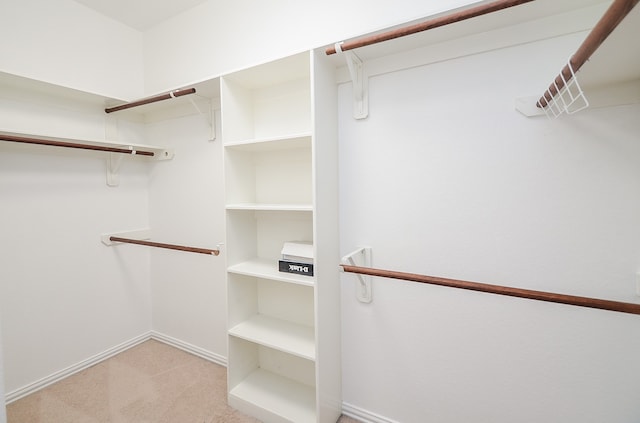 spacious closet featuring light carpet