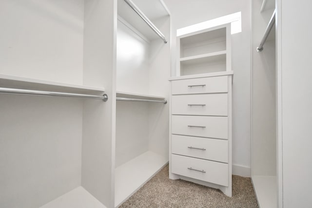 walk in closet with light carpet