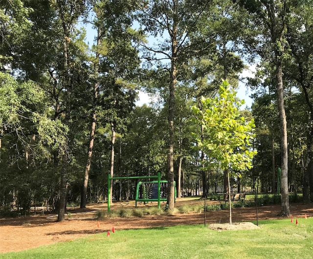 view of yard with a playground