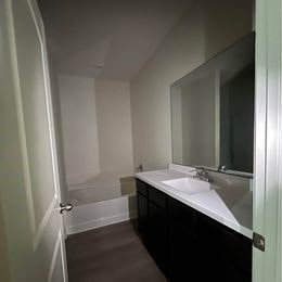 bathroom featuring wood-type flooring and vanity