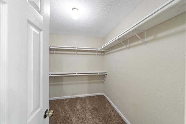 spacious closet with carpet floors