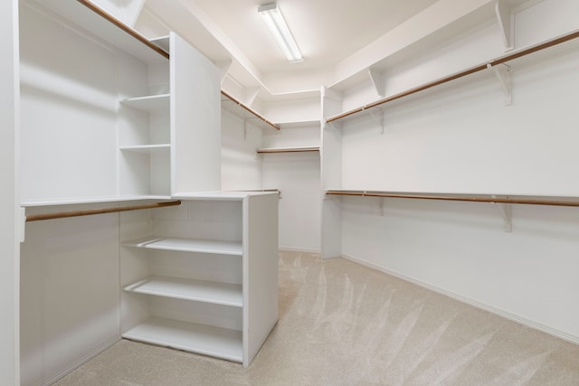 walk in closet featuring light colored carpet