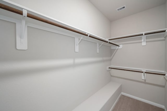 walk in closet with carpet flooring