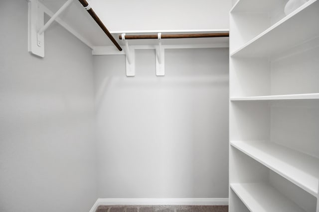 walk in closet featuring carpet flooring