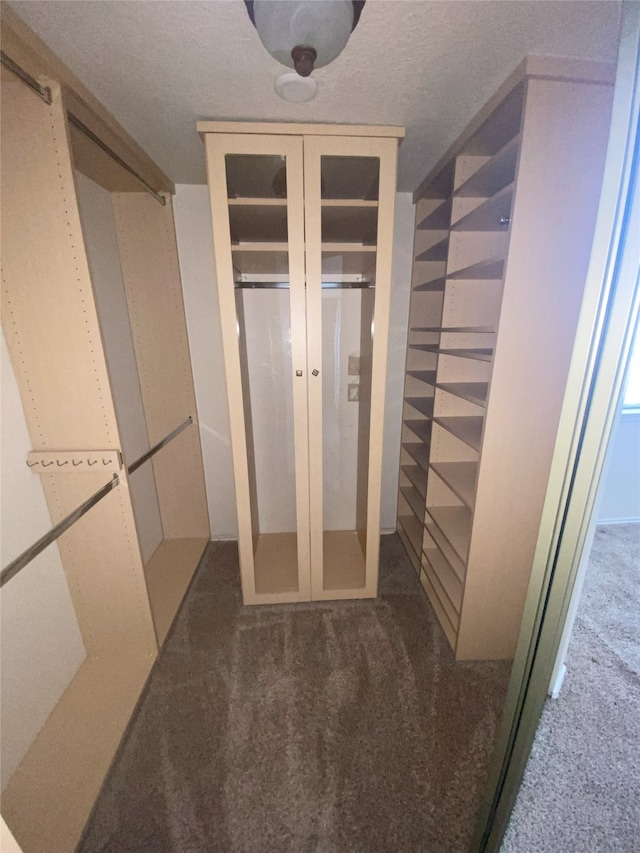 spacious closet with dark colored carpet