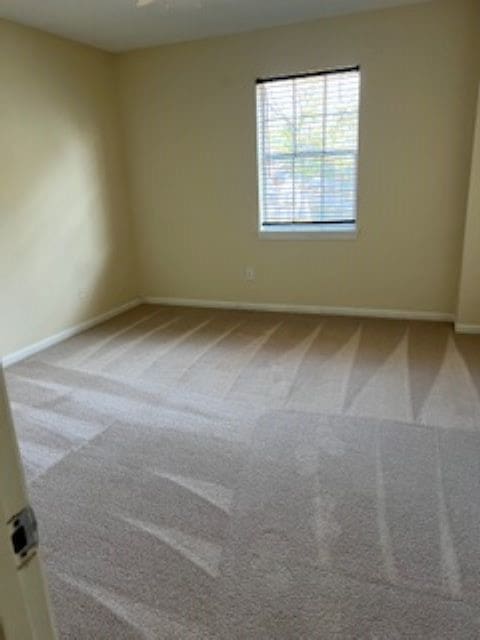 empty room with carpet