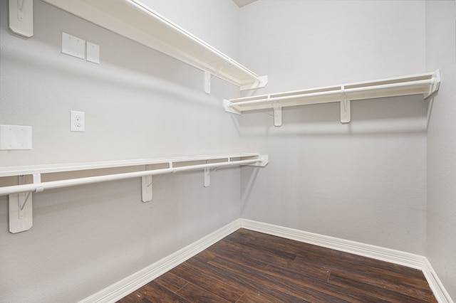 spacious closet with dark hardwood / wood-style floors