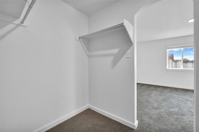 walk in closet with dark colored carpet