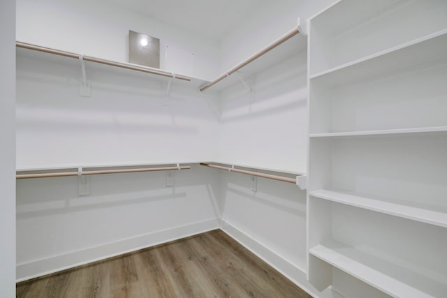 spacious closet with hardwood / wood-style floors