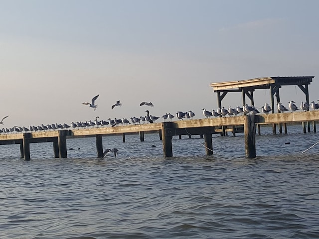 view of dock with a water view