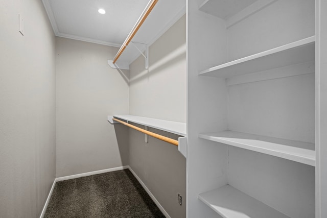 spacious closet with carpet