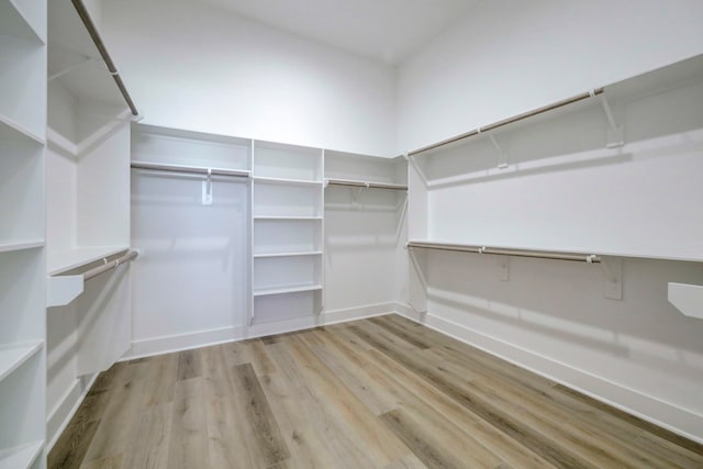 walk in closet featuring light hardwood / wood-style floors