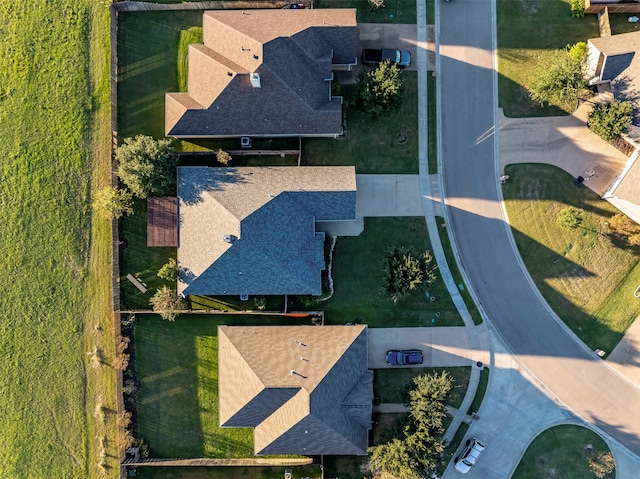 bird's eye view