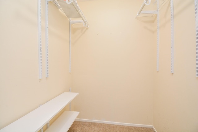 spacious closet featuring light colored carpet