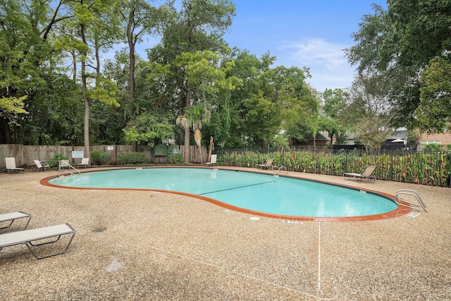 view of pool featuring a patio