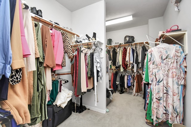 walk in closet featuring light carpet